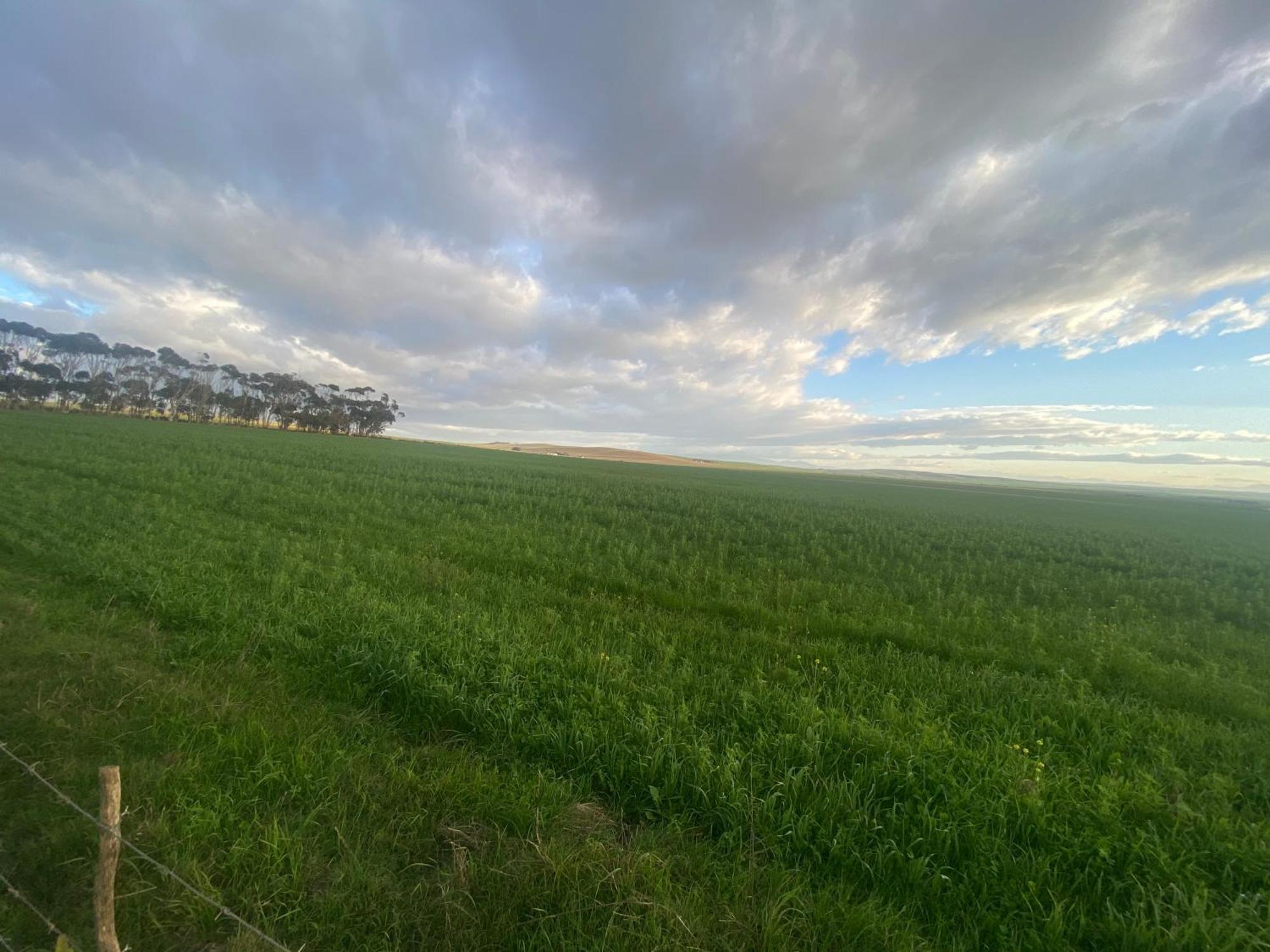 Staandakkie Guest Cottage Bredasdorp Bagian luar foto